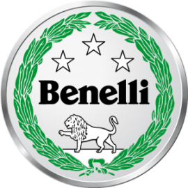 BENELLI (8)
